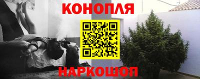 гидропоника Бузулук