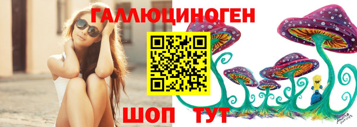 Коркино  Галлюциногенные грибы GOLDEN TEACHER  купить наркотики сайты  Вход с VPN  Псилоцибиновые грибы Psilocybe 